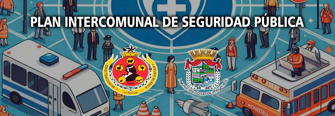 Plan intercomunal de seguridad publica